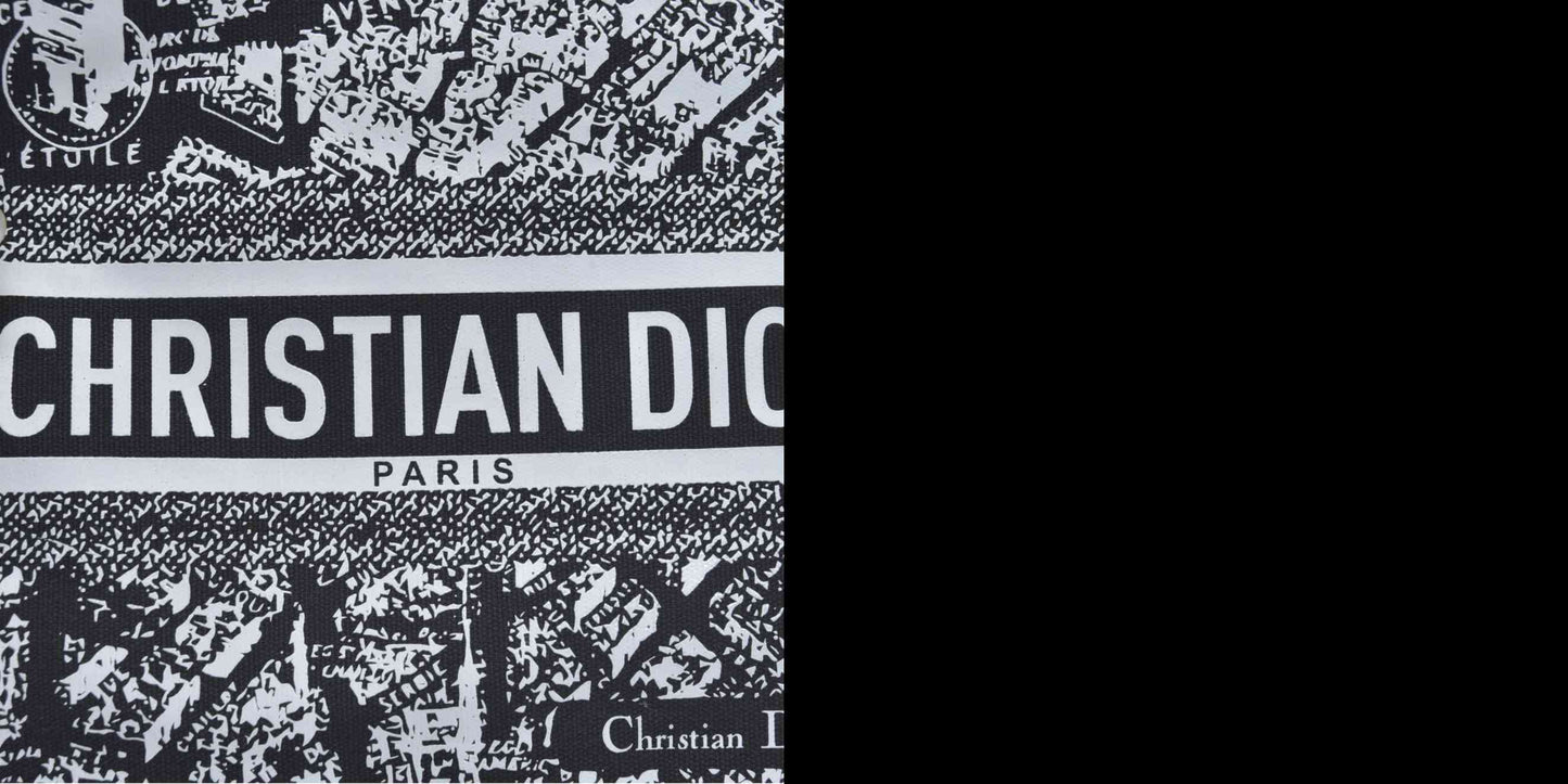 NEW CHRISTIAN DIOR Plan De Paris Map Makeup Bag Novelty GWP Pouch Clutch