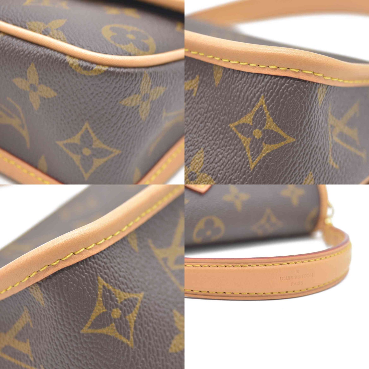Louis Vuitton  Monogram Nano Diane