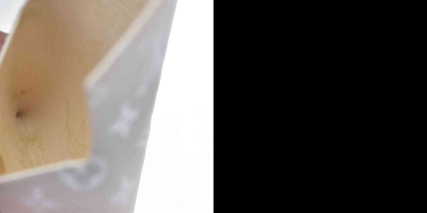 AUCTION $600 Louis Vuitton  Monogram By The Pool Small Kirigami Pochette Insert Brume