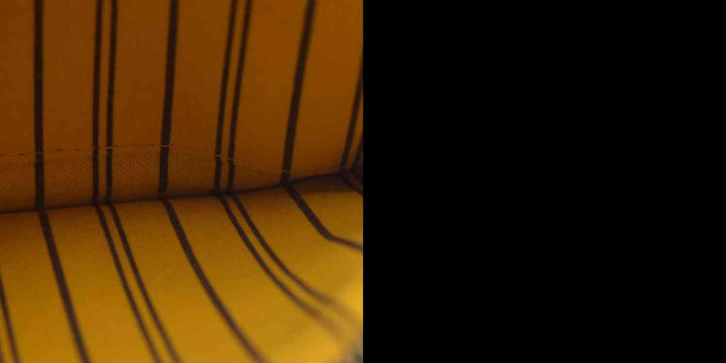 AUCTION $600 Louis Vuitton  Monogram Neo Neverfull GM MM Mimosa Pochette MS5113