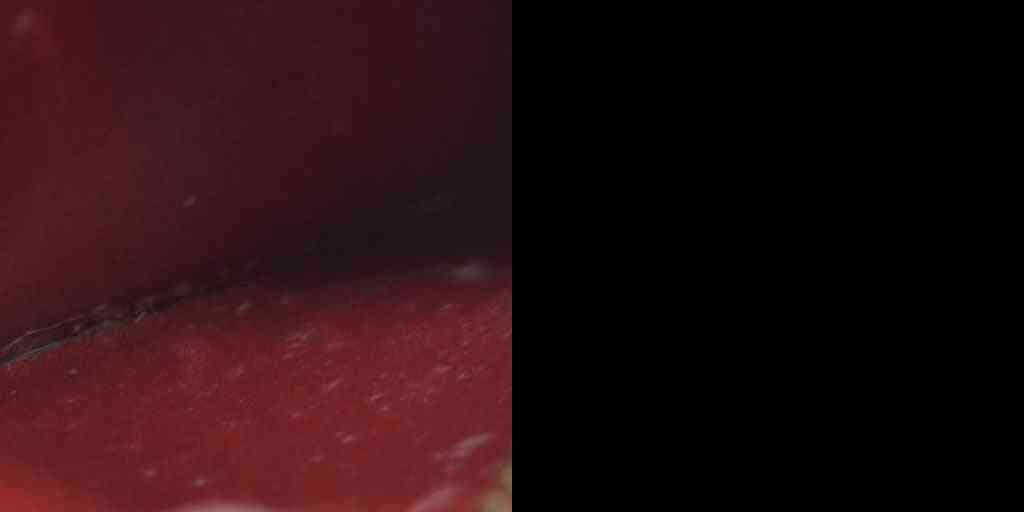 AUCTION $445 Louis Vuitton  Epi Key Pouch Castillan Red