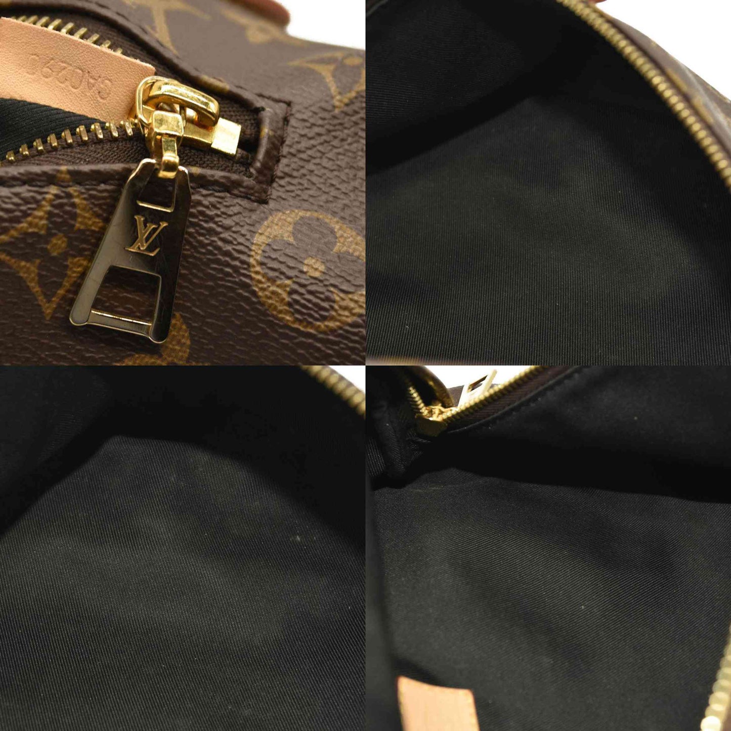 LOUIS VUITTON Monogram Bumbag CA0290