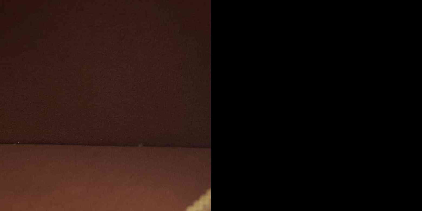 $2940 Louis Vuitton  Empreinte Monogram Giant Neverfull MM Pochette Cognac