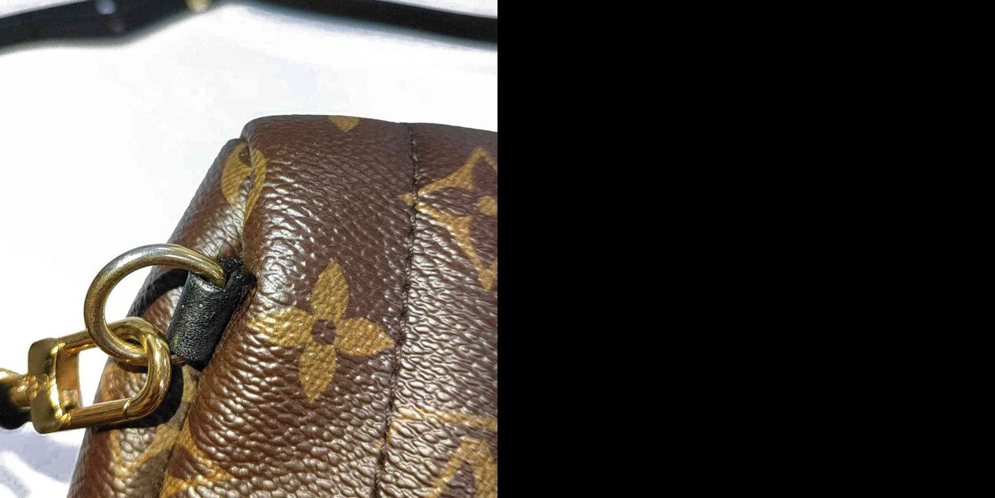 Louis Vuitton  Monogram Palm Springs Backpack Mini