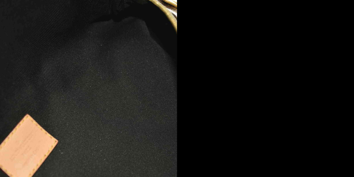 LOUIS VUITTON  Monogram Bumbag CA2129