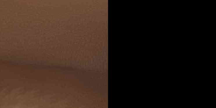 Louis Vuitton  Monogram Nice BB PL2199