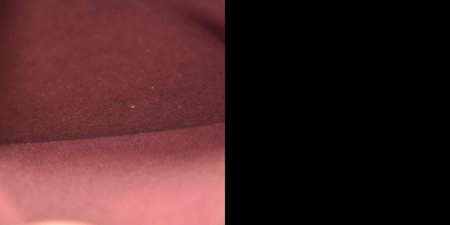 Louis Vuitton  Monogram Montsouris NM Backpack