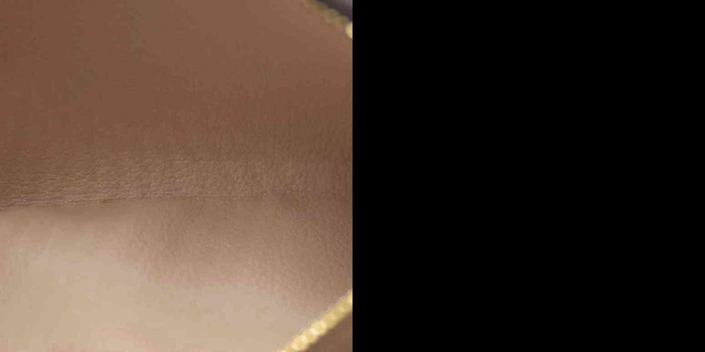 Louis Vuitton  Monogram Nice BB