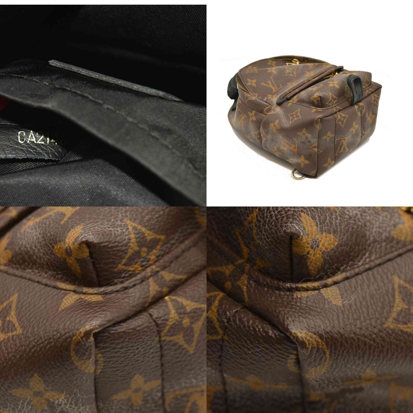 Louis Vuitton  Monogram Palm Springs Backpack Mini