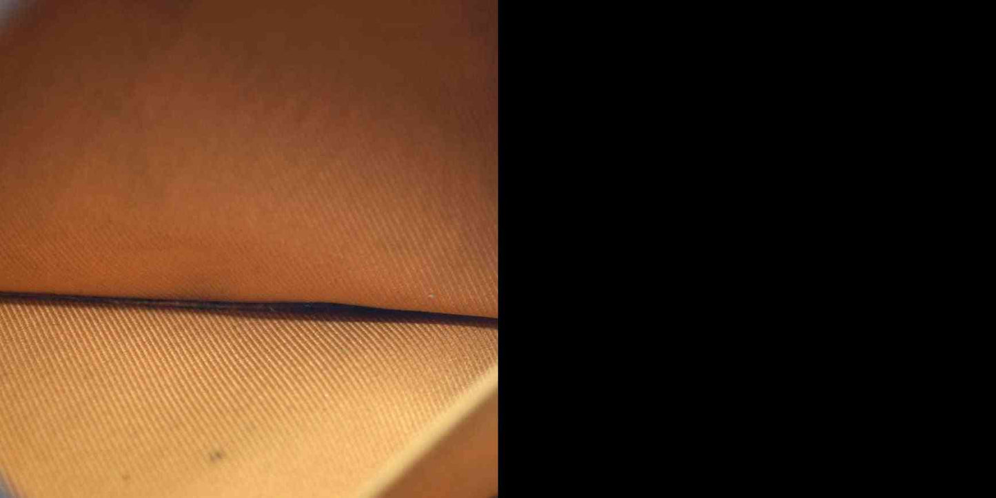 Louis Vuitton  Damier Ebene Santa Monica Safran