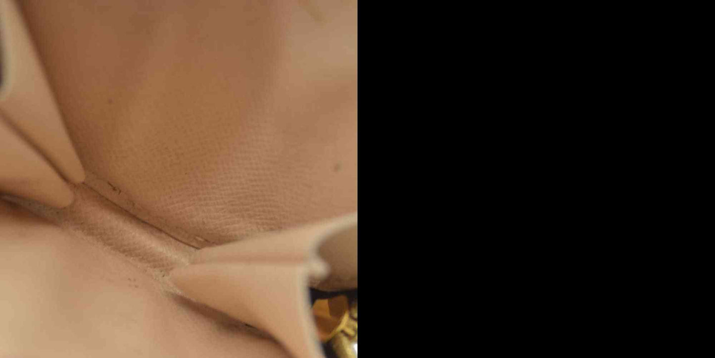 Louis Vuitton  Monogram Multi Pochette Accessories Rose Clair TN3220