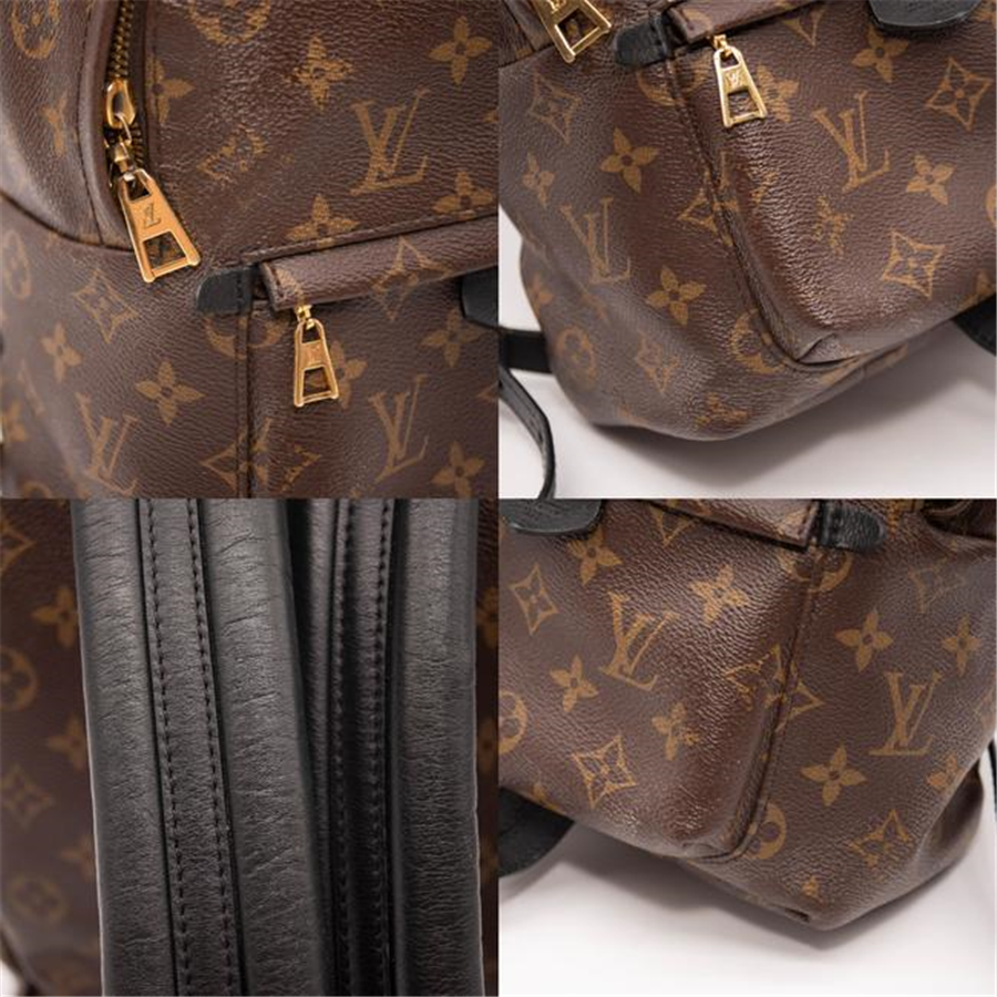 Louis Vuitton Palm Springs Pm Brown Monogram Canvas Backpack