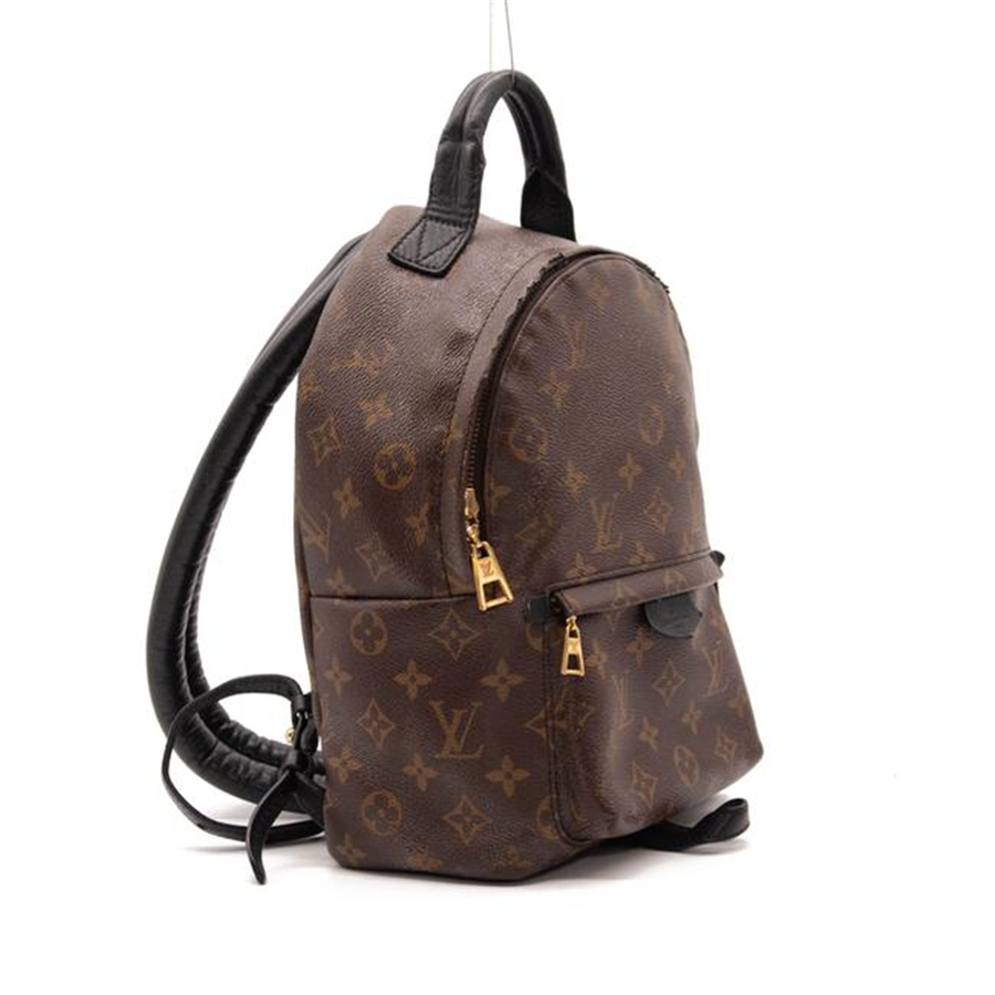 Louis Vuitton Palm Springs Pm Brown Monogram Canvas Backpack