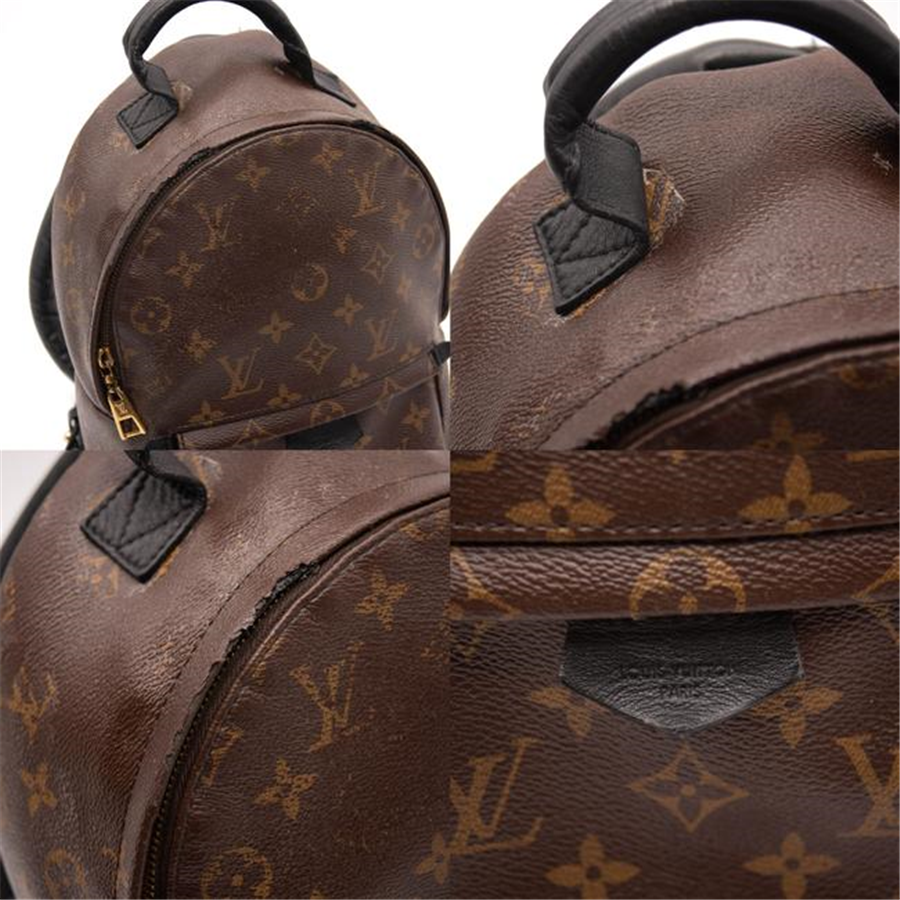 Louis Vuitton Palm Springs Pm Brown Monogram Canvas Backpack