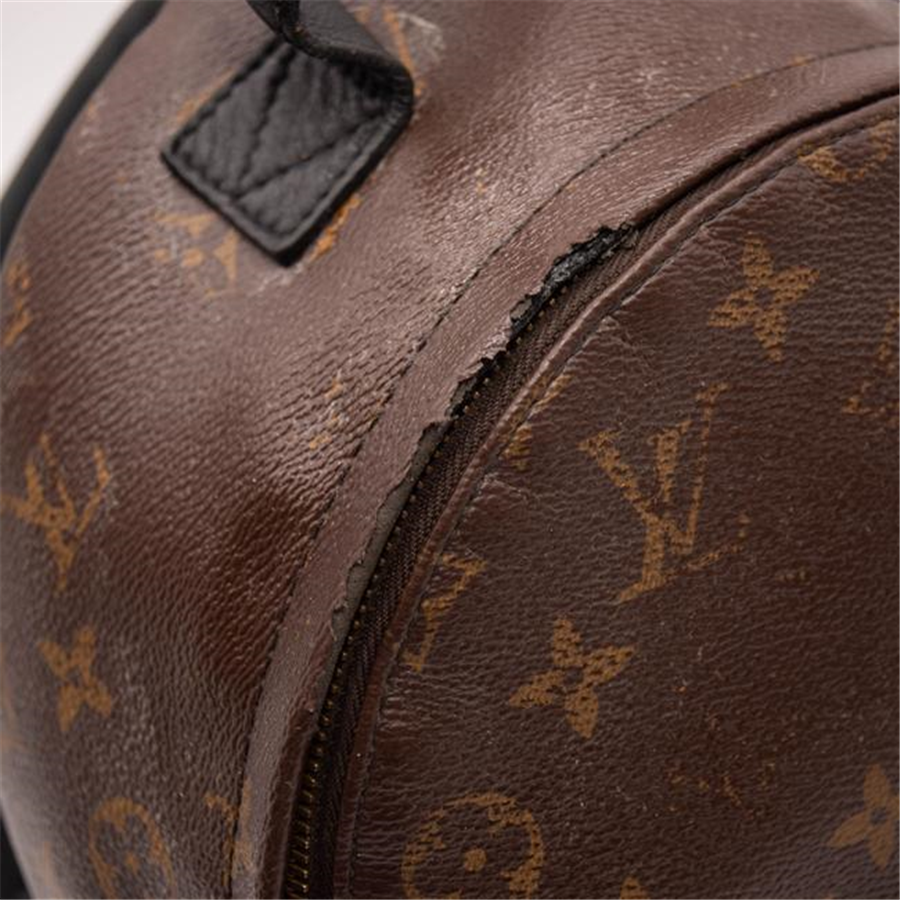 Louis Vuitton Palm Springs Pm Brown Monogram Canvas Backpack