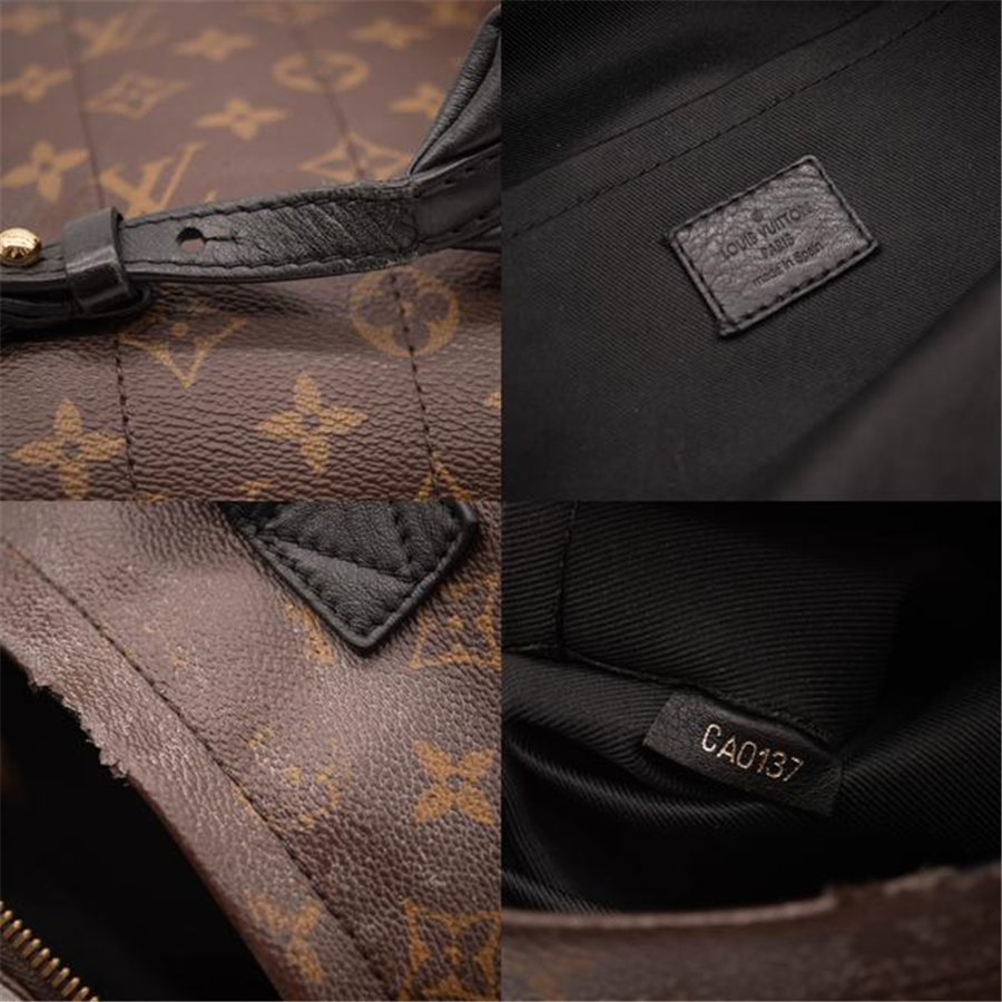 Louis Vuitton Palm Springs Pm Brown Monogram Canvas Backpack