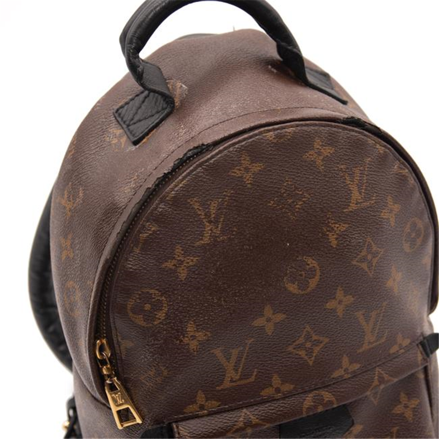 Louis Vuitton Palm Springs Pm Brown Monogram Canvas Backpack