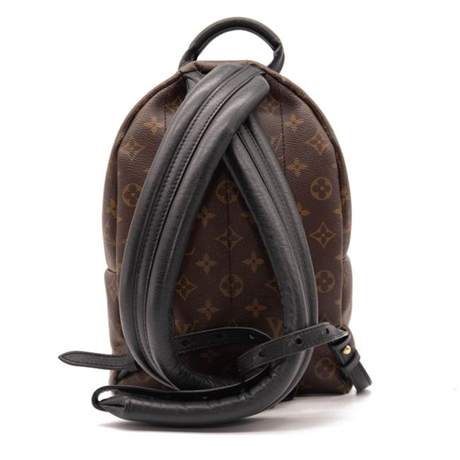 Louis Vuitton Palm Springs Pm Brown Monogram Canvas Backpack